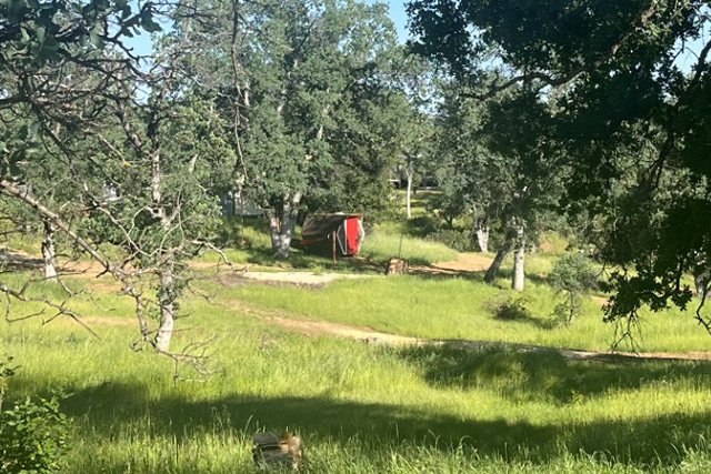 Glamping site near Redding California.